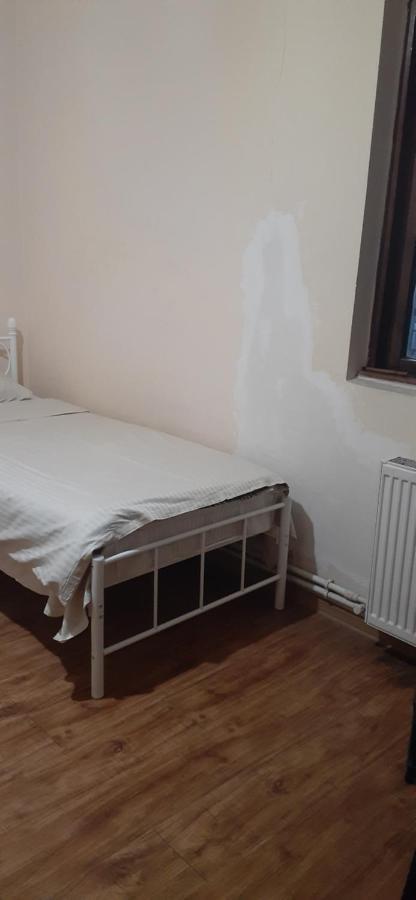 шорена *
